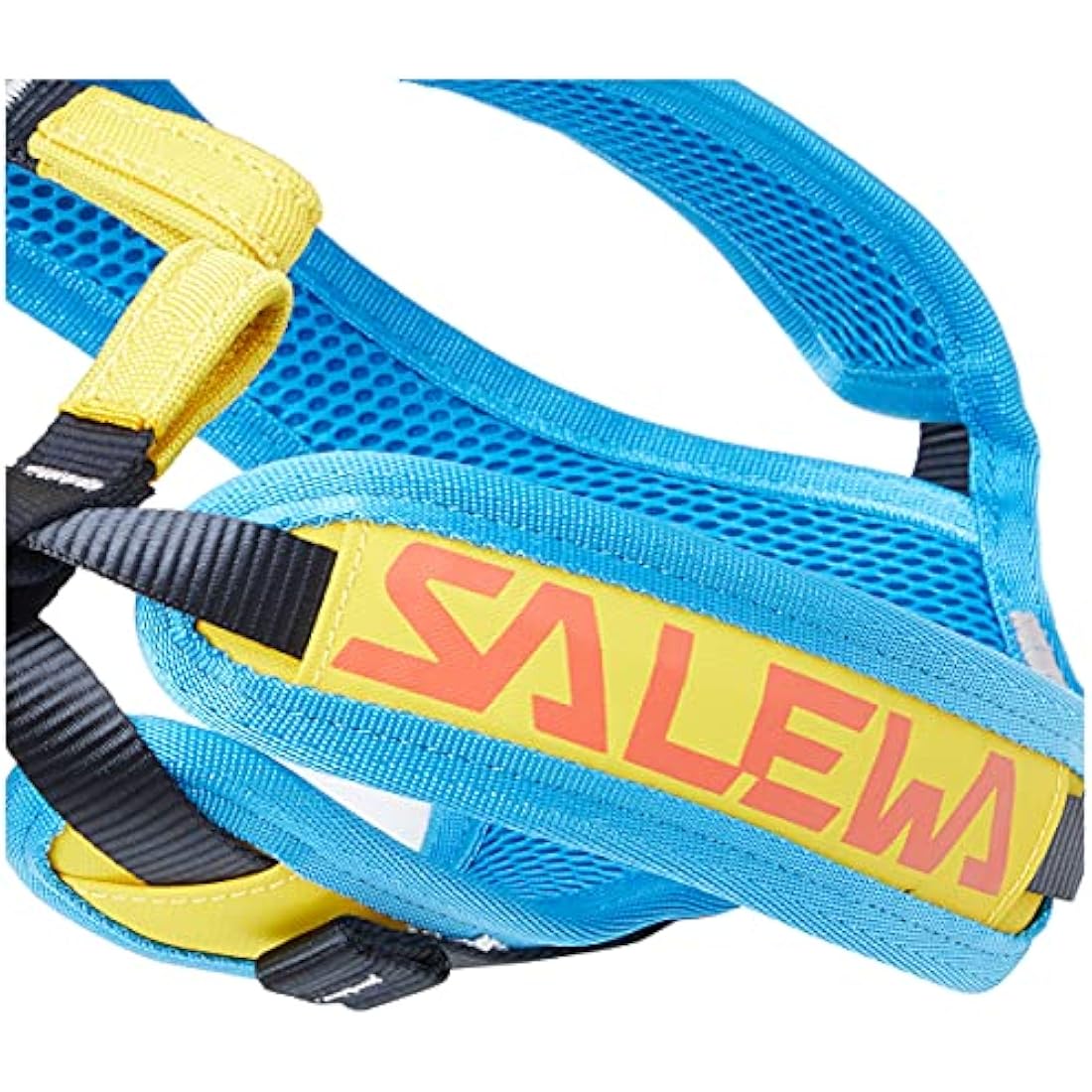Salewa Rookie Kids Climbing Harness | Adjustable Breathable Youth Gear