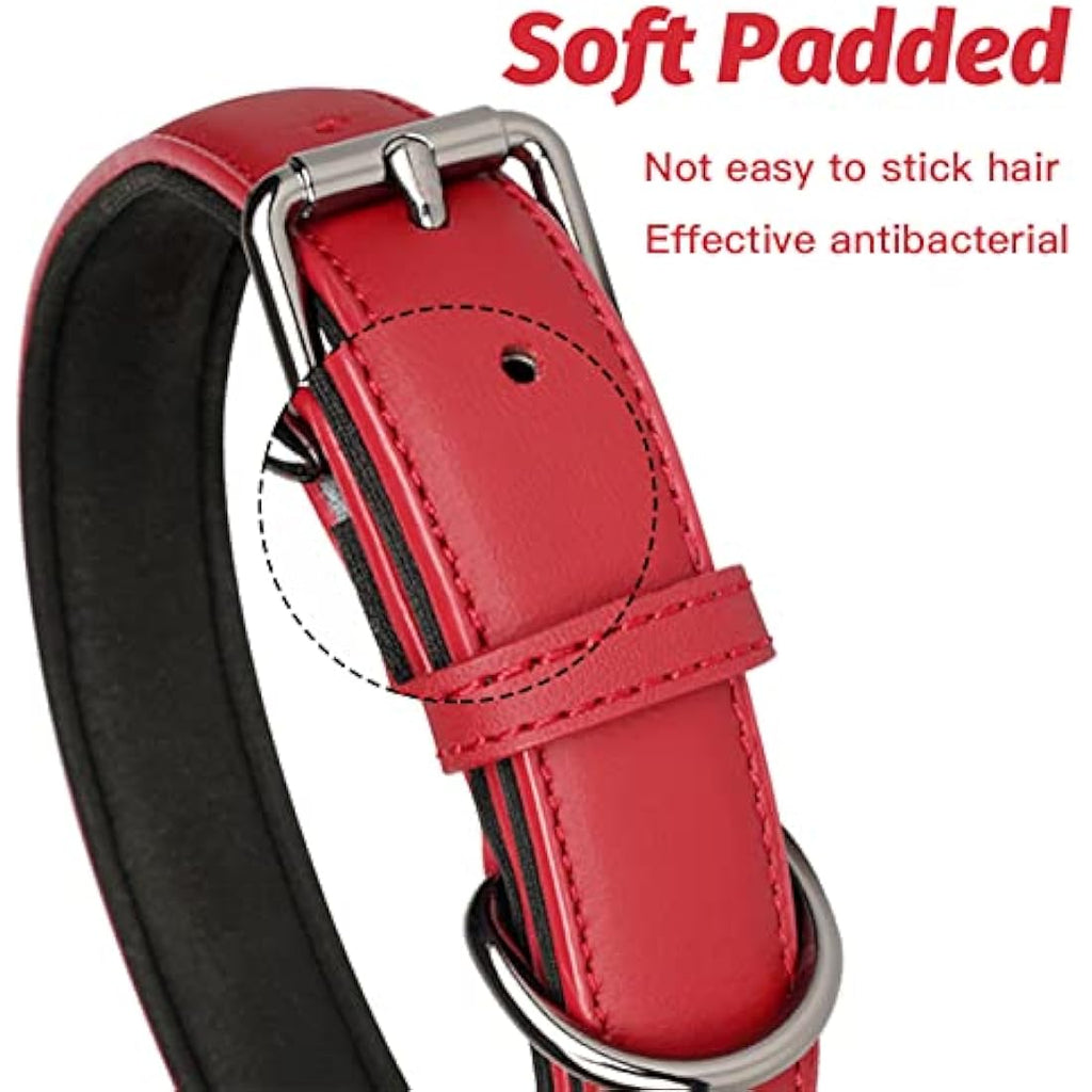 Jolof Store Red Leather Dog Collar – Soft Padded Adjustable Pet Collar