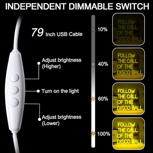 Ineonlife Follow the Call of the Disco Ball Neon Sign | Dimmable LED