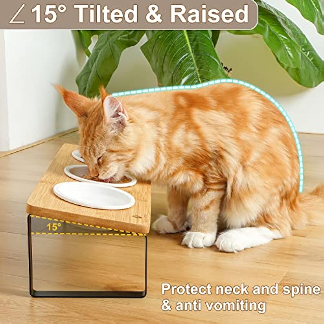 GUUSII HOME Elevated Cat Bowl Set - 3 Tilted Ceramic Bowls with Bamboo Stand