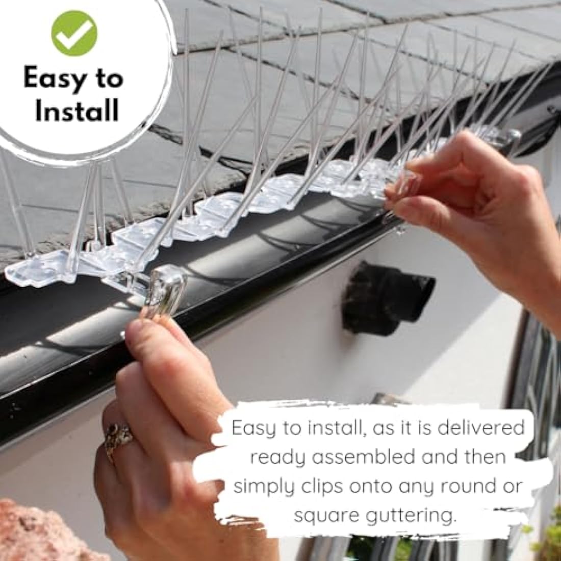 Defender Bird Spikes | 3m Gutter Spikes for Pigeons & Seagulls