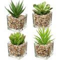 Briful Artificial Succulents – Set of 4 Mini Faux Plants in Glass Pots
