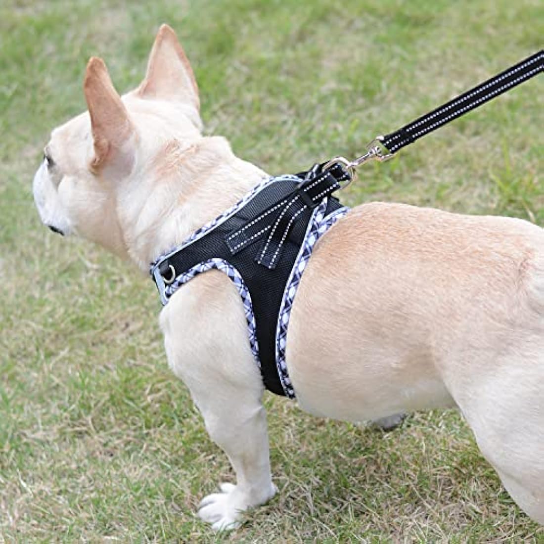 DORAMIO Step-in Dog Harness and Leash Set | Reflective Mesh Vest – XL