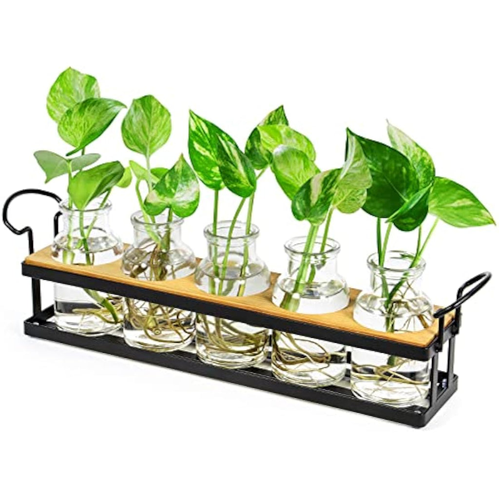 THYGIFTREE Plant Propagation Station | 5 Glass Jars with Metal Stand