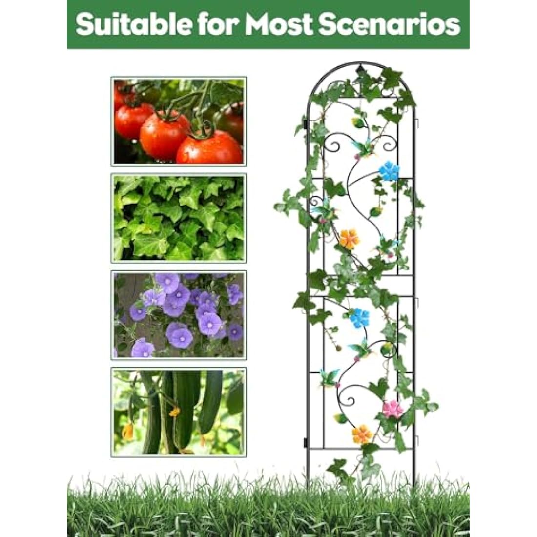 Jolof Store Hummingbird Garden Trellis | 2.2M Rustproof Metal Support