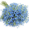 Jolof Store Blue Artificial Baby Breath Flowers - 10Pcs Fake Gypsophila