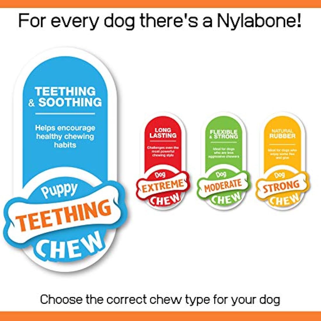 Nylabone Puppy Teething Dental Chew Toy – Chicken Flavor, Pink, XS