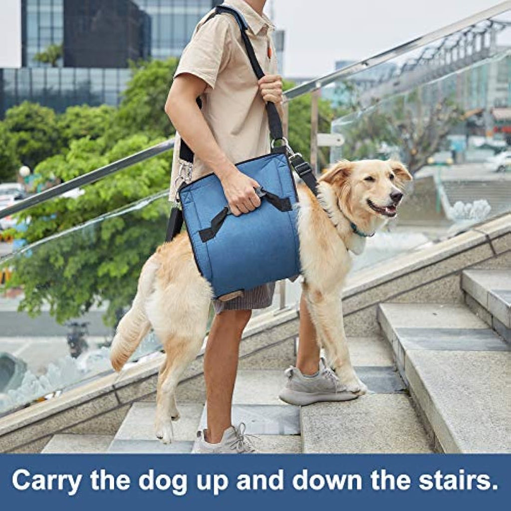 COODEO Dog Lift Harness | Full Body Support Sling for Senior Dogs - Blue