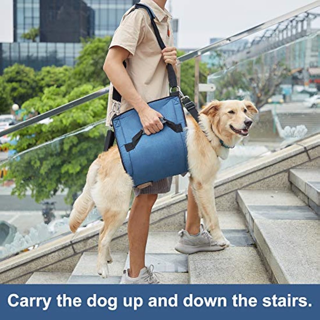 COODEO Dog Lift Harness | Full Body Support Sling for Senior Dogs - Blue