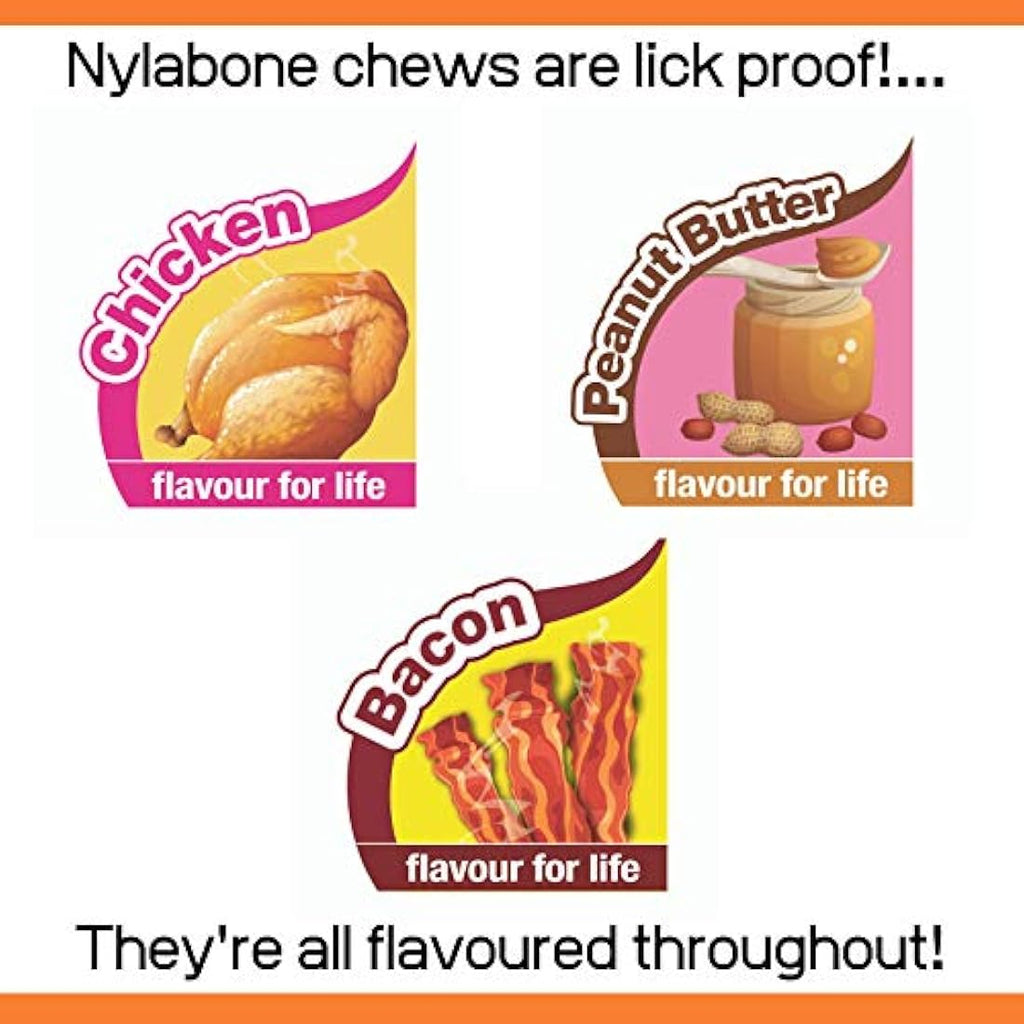 Nylabone Durable Dog Chew Toy 3-Pack | Peanut Butter & Bacon | Small