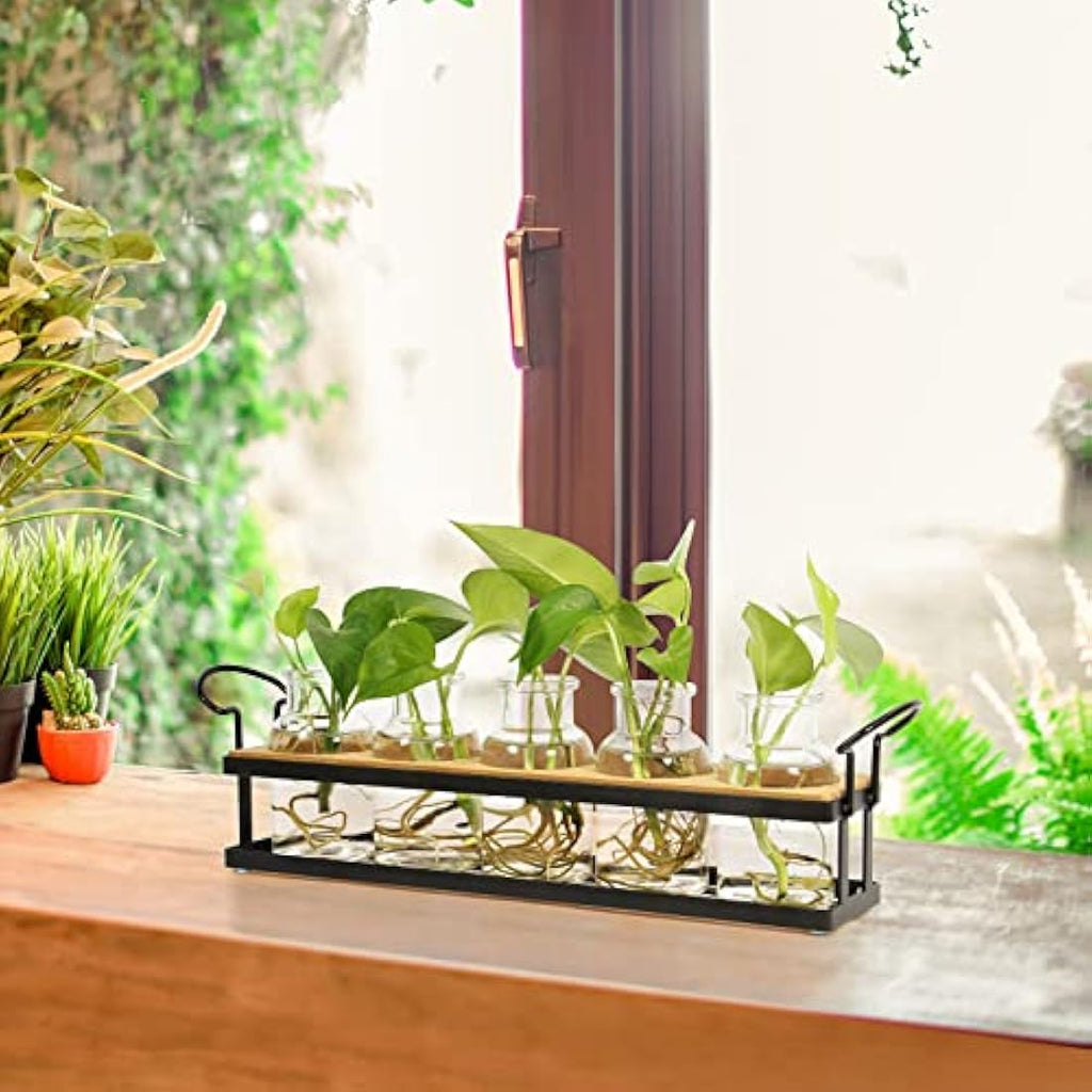 THYGIFTREE Plant Propagation Station | 5 Glass Jars with Metal Stand