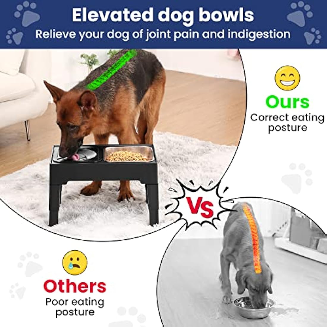 PETTOM Raised Dog Bowl | 4 Height Adjustable Elevated Stainless Steel Feeder