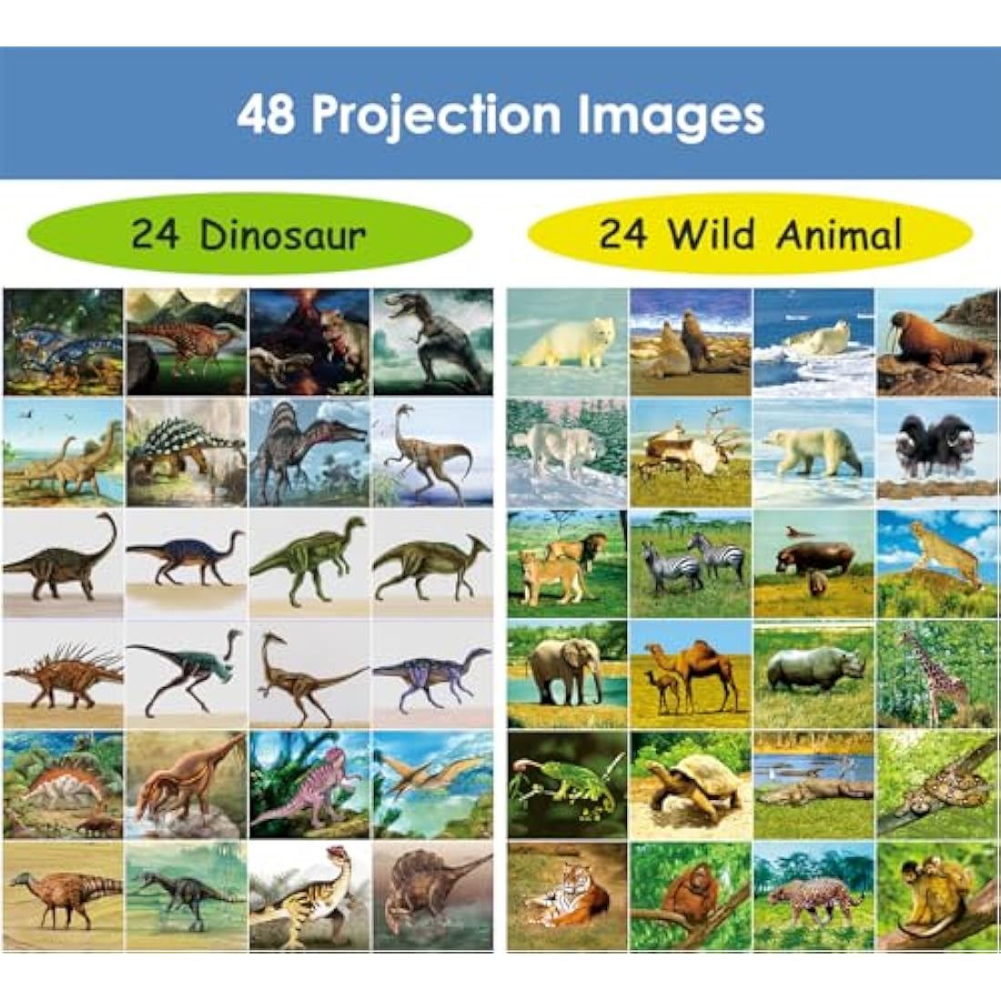 Pup Go 2-in-1 Kids Projector Torch | Dinosaur & Animal Educational Toy