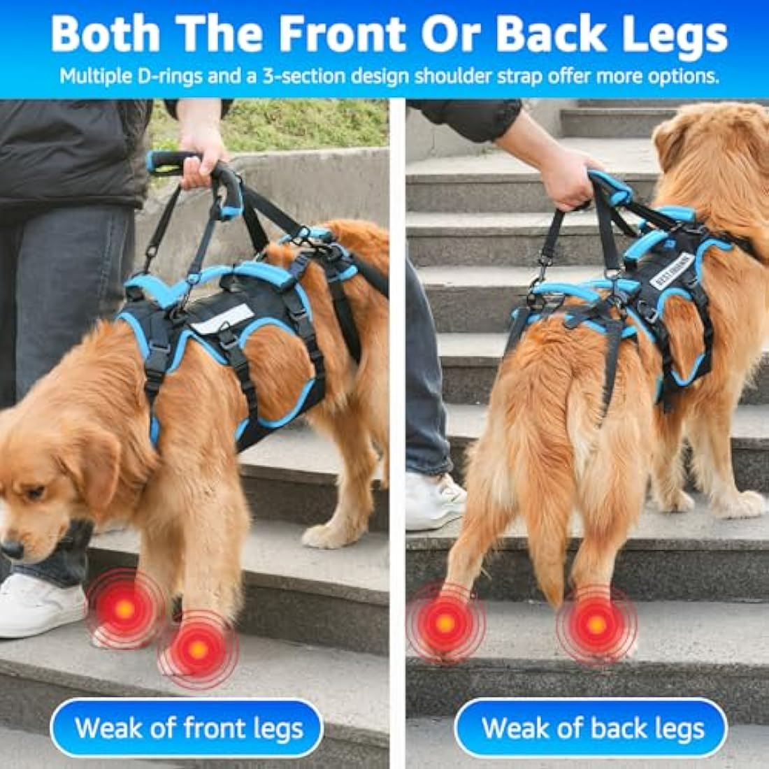 Lafoty Dog Lift Harness – Male Dog Mobility Support Sling for Large Dogs