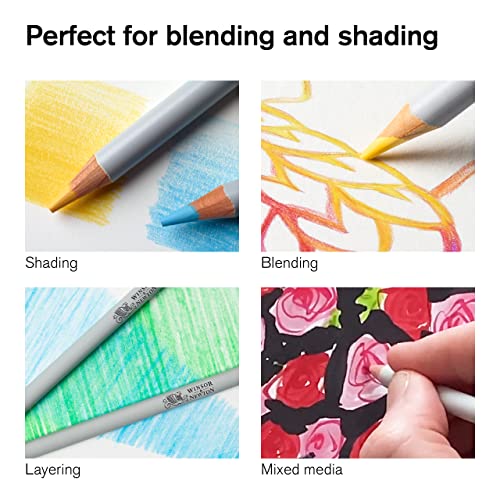 Winsor & Newton Studio Collection Colouring Pencils - 48 Soft Core Set
