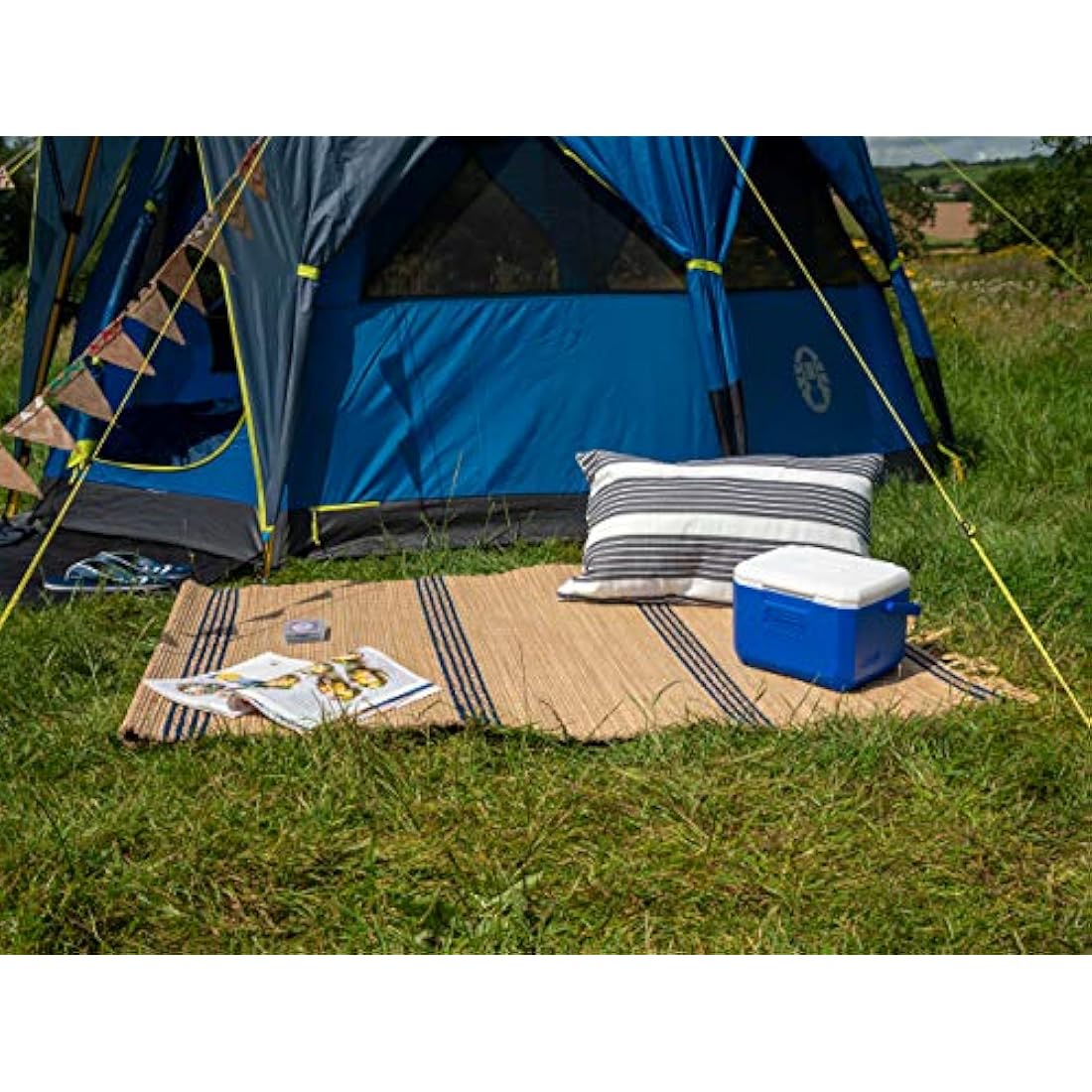 Coleman Performance 6 Kühlbox – 4L Passive Thermobox, BPA-Frei