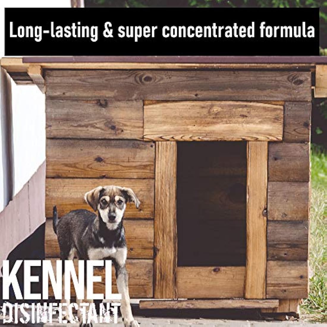 Jolof Store ULTIMA-PLUS XP Kennel Kleen Lavender Disinfectant - 5L