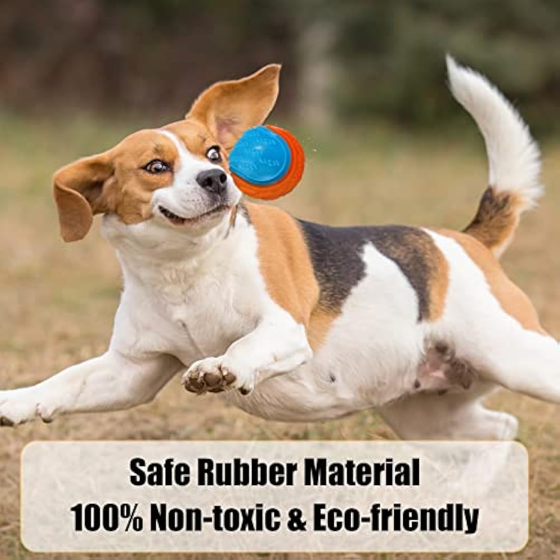 Jolof Store Squeaky Dog Ball 4-Pack – Durable Interactive Pet Toy