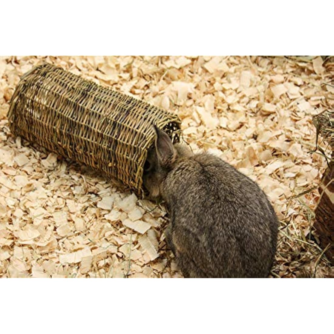 Natural Willow Tube | Small Animal Chew Toy & Hideaway