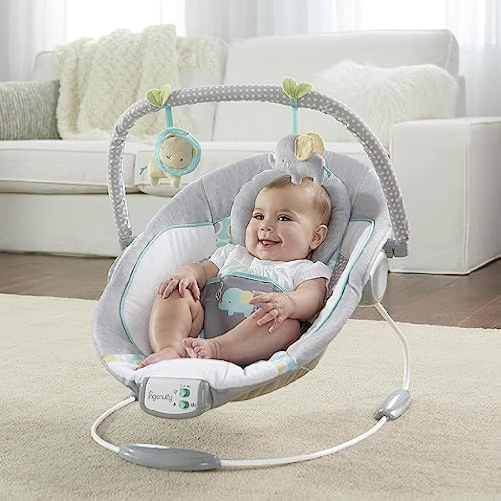 Ingenuity Baby Bouncer – Soothing Vibrating Infant Seat, Morrison