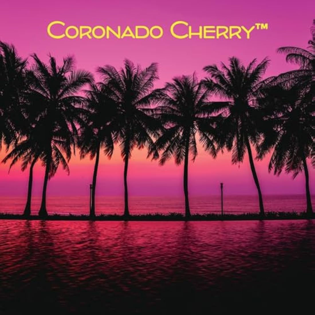 California Scents Coronado Cherry Car Air Freshener - 12 Pack Bulk Box