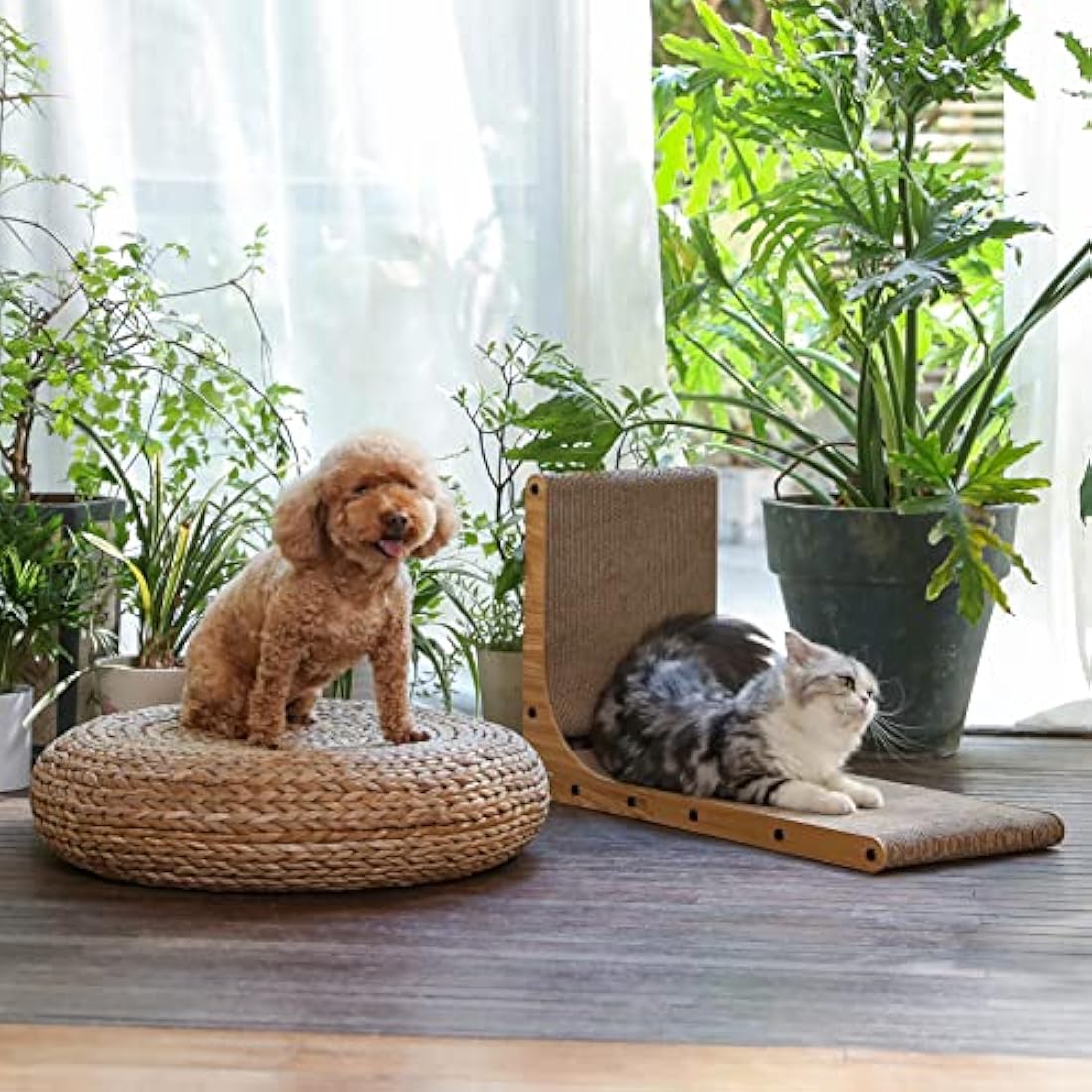 FUKUMARU L-Shape Cat Scratcher | Wall Mounted Cardboard Lounge with Toy