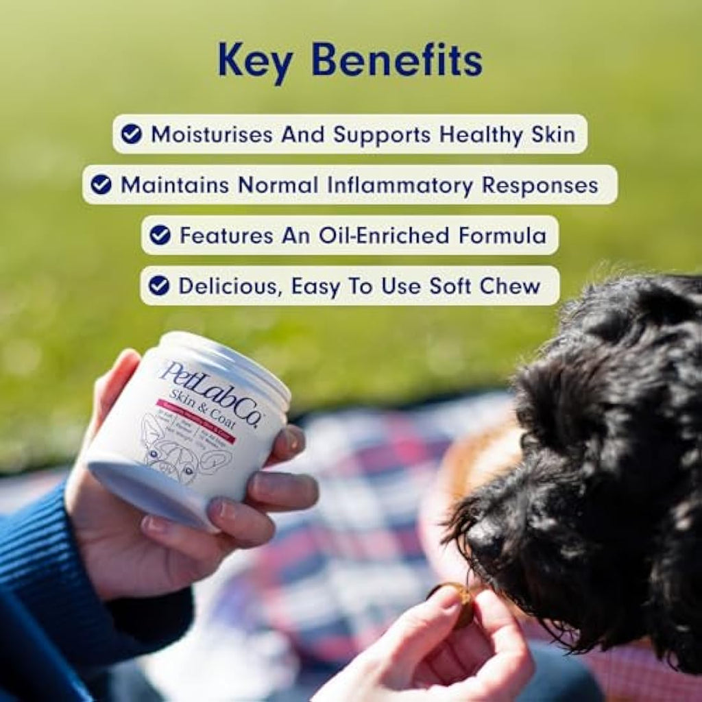 PetLab Co. Skin & Coat Dog Supplements – Salmon Oil & Turmeric Chews