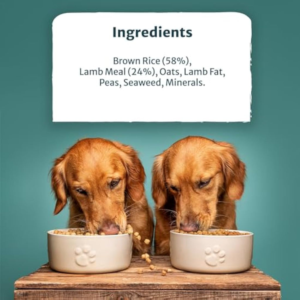 Burns Pet Nutrition Hypoallergenic Lamb & Brown Rice Dog Food - 12kg