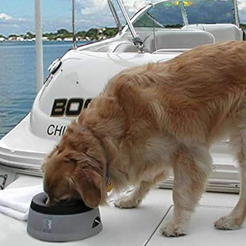 Road Refresher Non-Spill Pet Water Bowl - Grey, Large