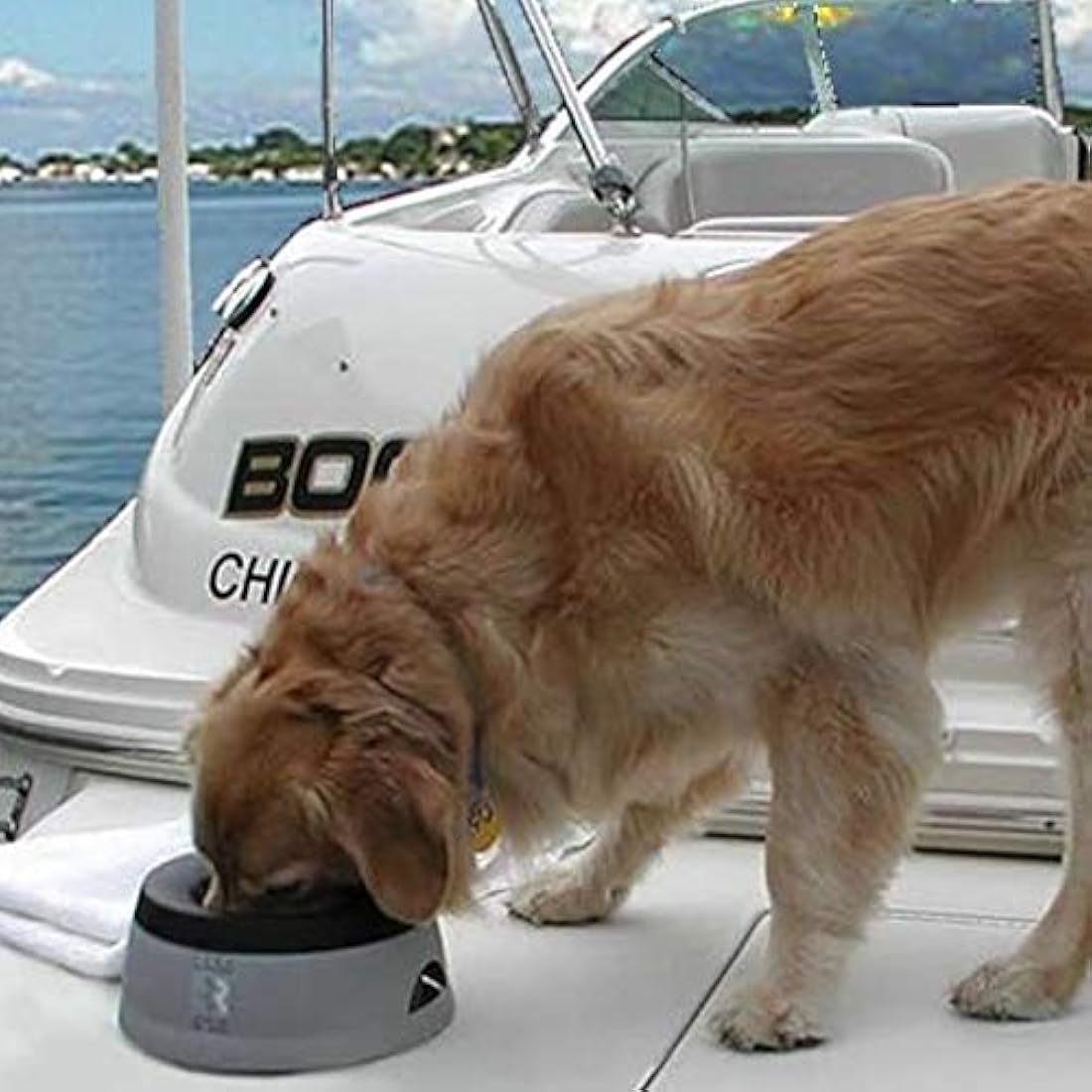 Road Refresher Non-Spill Pet Water Bowl - Grey, Large