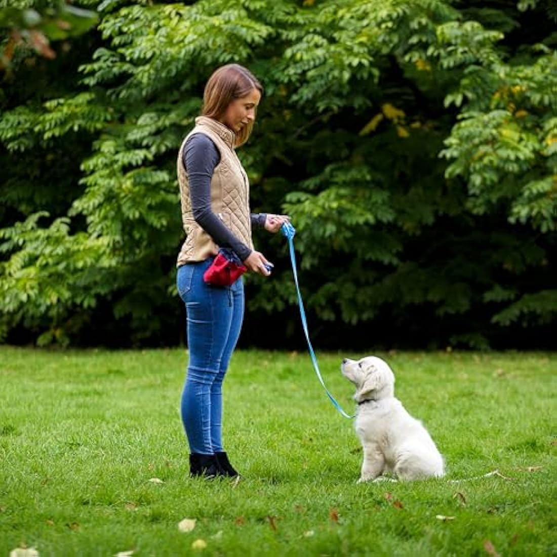 Company of Animals Multi-Clicker | Adjustable Dog Training Clicker