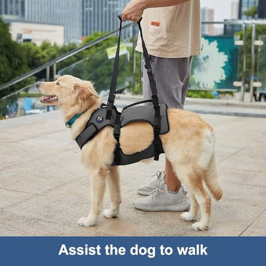 Coodeo Dog Lift Harness | Full Body Support Recovery Sling - Grey, 2XL