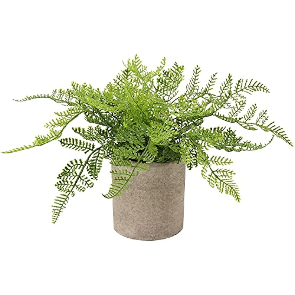 Artificial Rabbit's Foot Fern - Faux Potted Plant for Home Decor