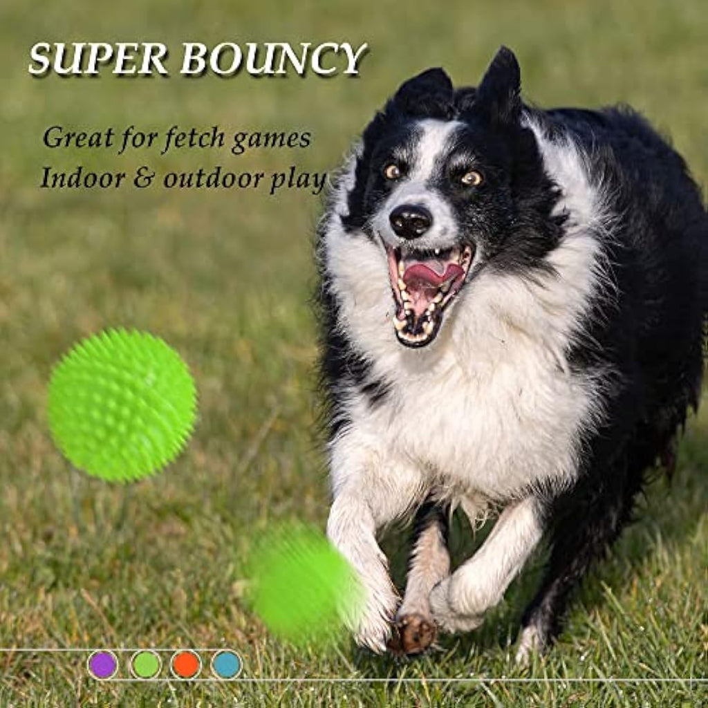 Jolof Store Squeaky Dog Toy Balls – 4 Pack Spikey Durable Dog Toys
