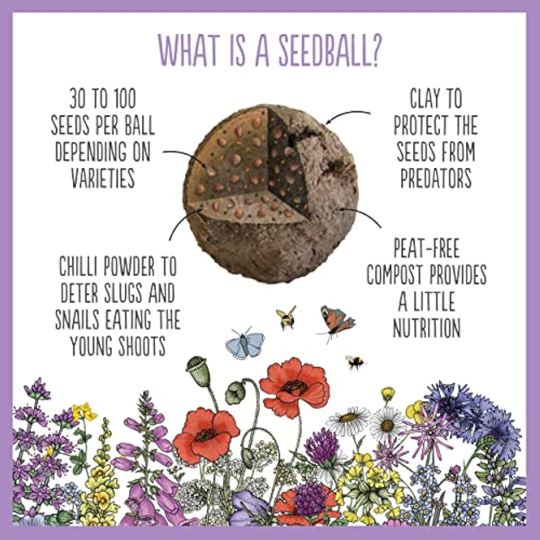 Seedball Butterfly Mix Wildflower Seed Bombs - 20 Pack Eco-Friendly Tin