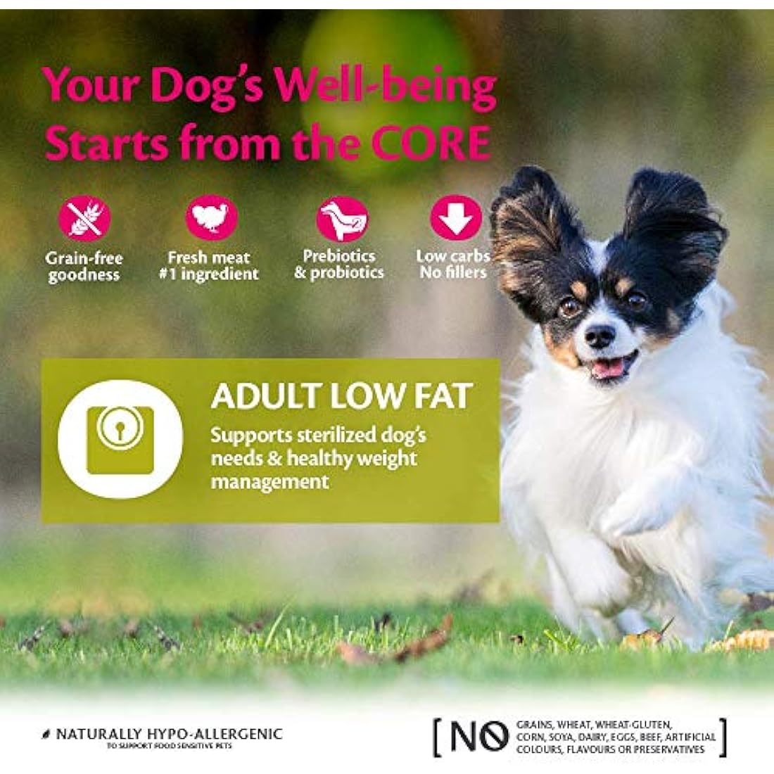 Wellness CORE Small Breed Low Fat Dog Food - Grain-Free Turkey - 5kg