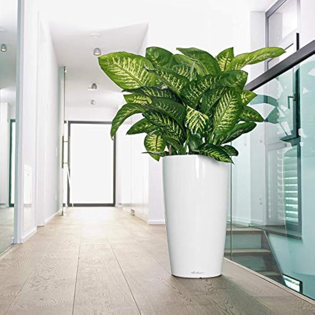 Lechuza RONDO 32 Self-Watering Planter | Large High-Gloss Black Plant Pot