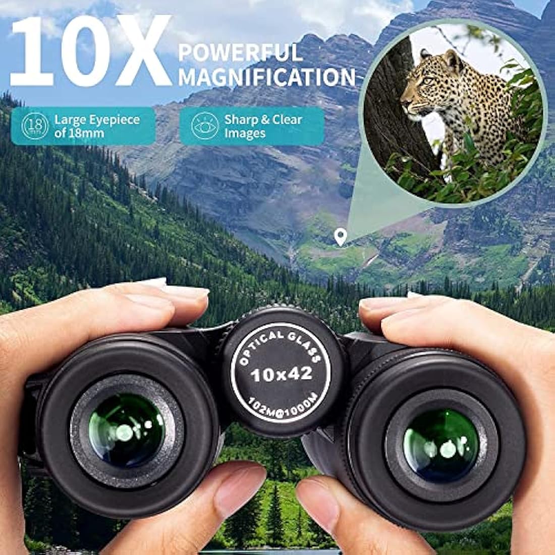 Gosky 10x42 HD Roof Prism Binoculars with BAK4 Prism and Phone Mount