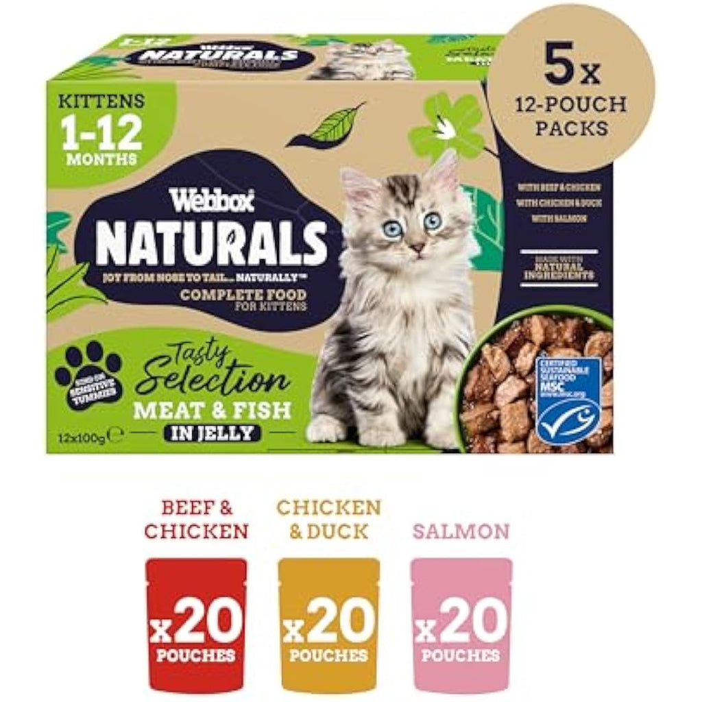 Webbox Naturals Kitten Wet Cat Food | Meat & Fish in Jelly (60 x 100g)