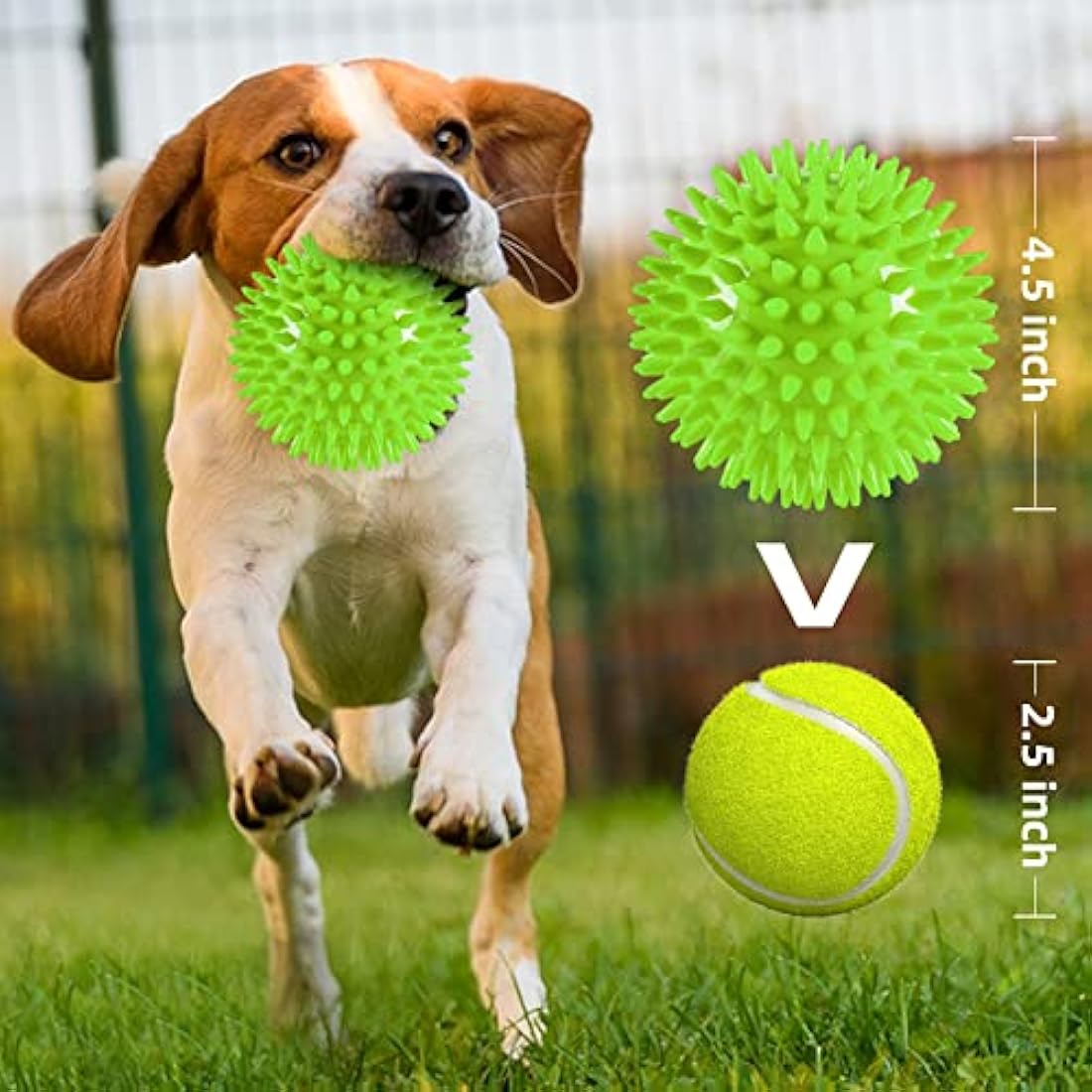 Squeaky Dog Balls – Indestructible 4 Pack for Large Dogs