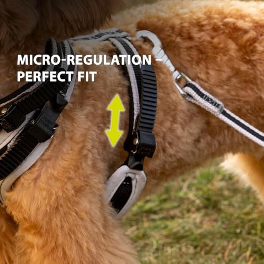 Ferplast Ergocomfort Dog Harness – Padded Nylon Adjustable Vest, Silver