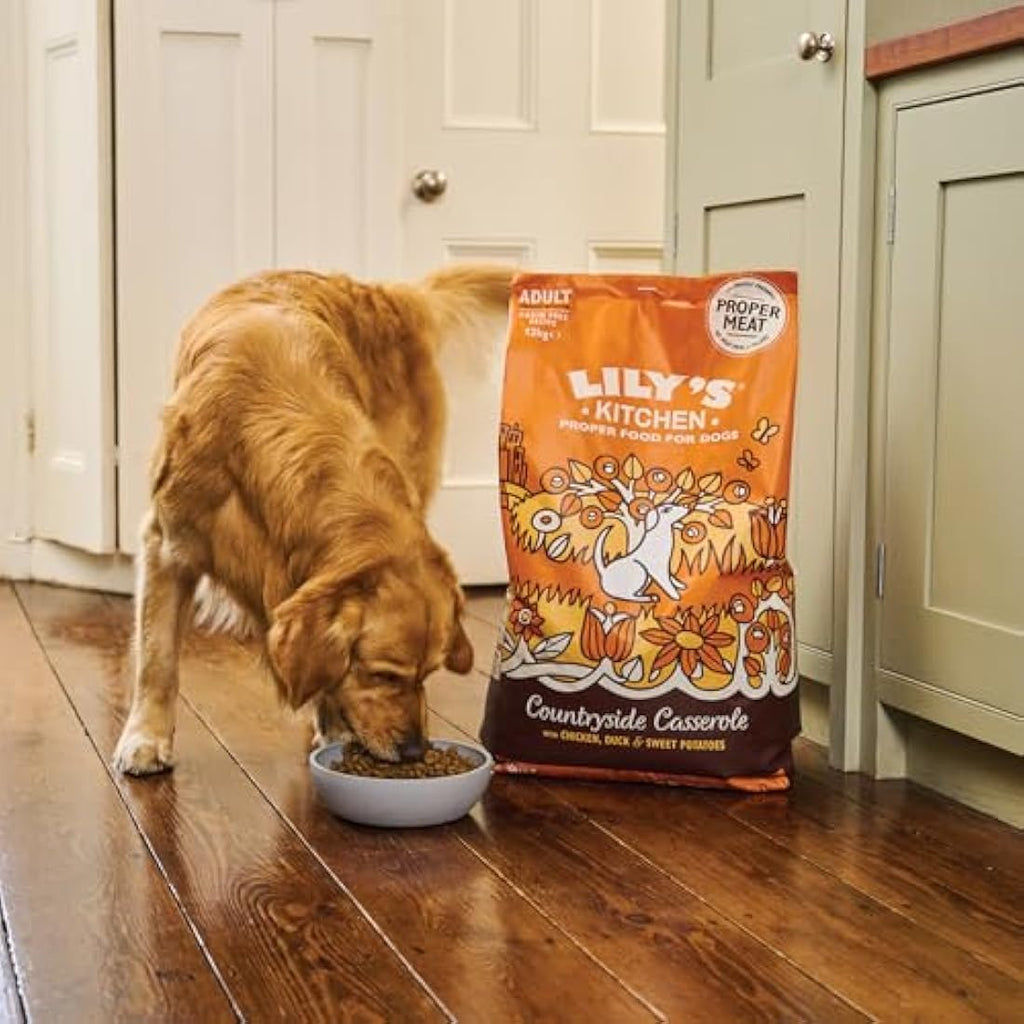 Lily's Kitchen Grain-Free Dry Dog Food - Chicken & Duck (4 x 1kg)