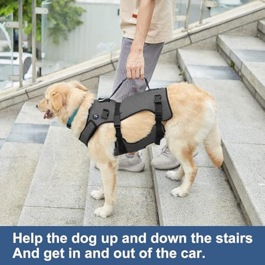 Coodeo Dog Lift Harness | Full Body Support Recovery Sling - Grey, 2XL