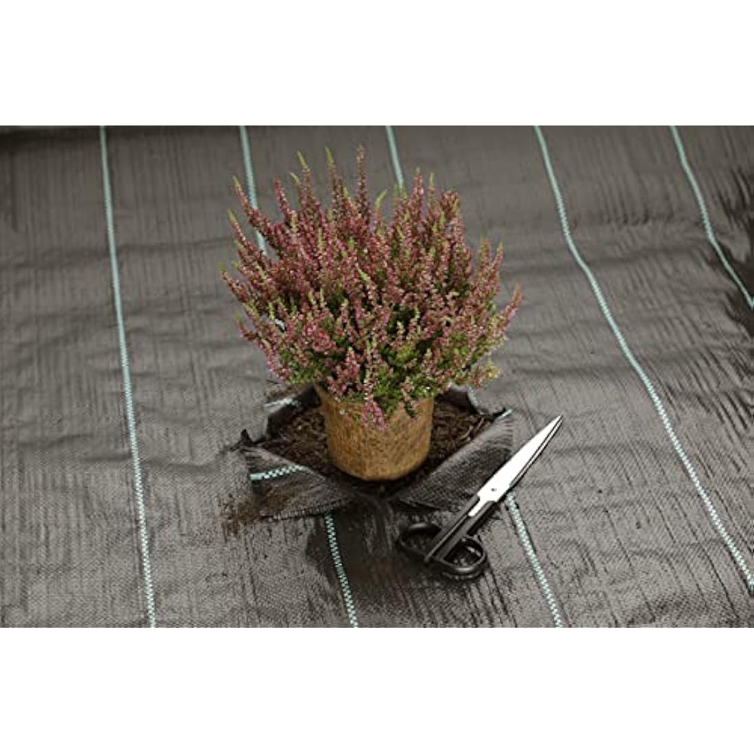 GardenMate Weed Control Fabric – 2m x 10m Heavy Duty 100gsm Membrane
