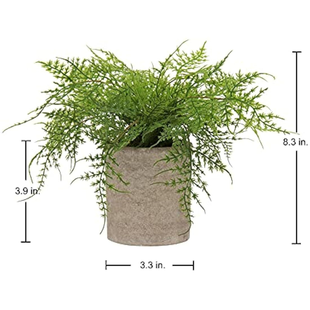 Artificial Potted Asparagus Fern – Small Faux Desk Plant