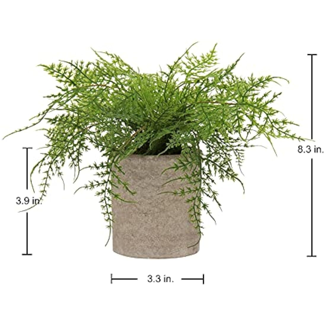 Artificial Potted Asparagus Fern – Small Faux Desk Plant
