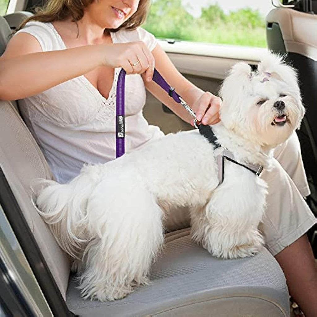 PETZANA Dog Car Seat Belt – 2-Pack Adjustable Bungee Safety Restraint