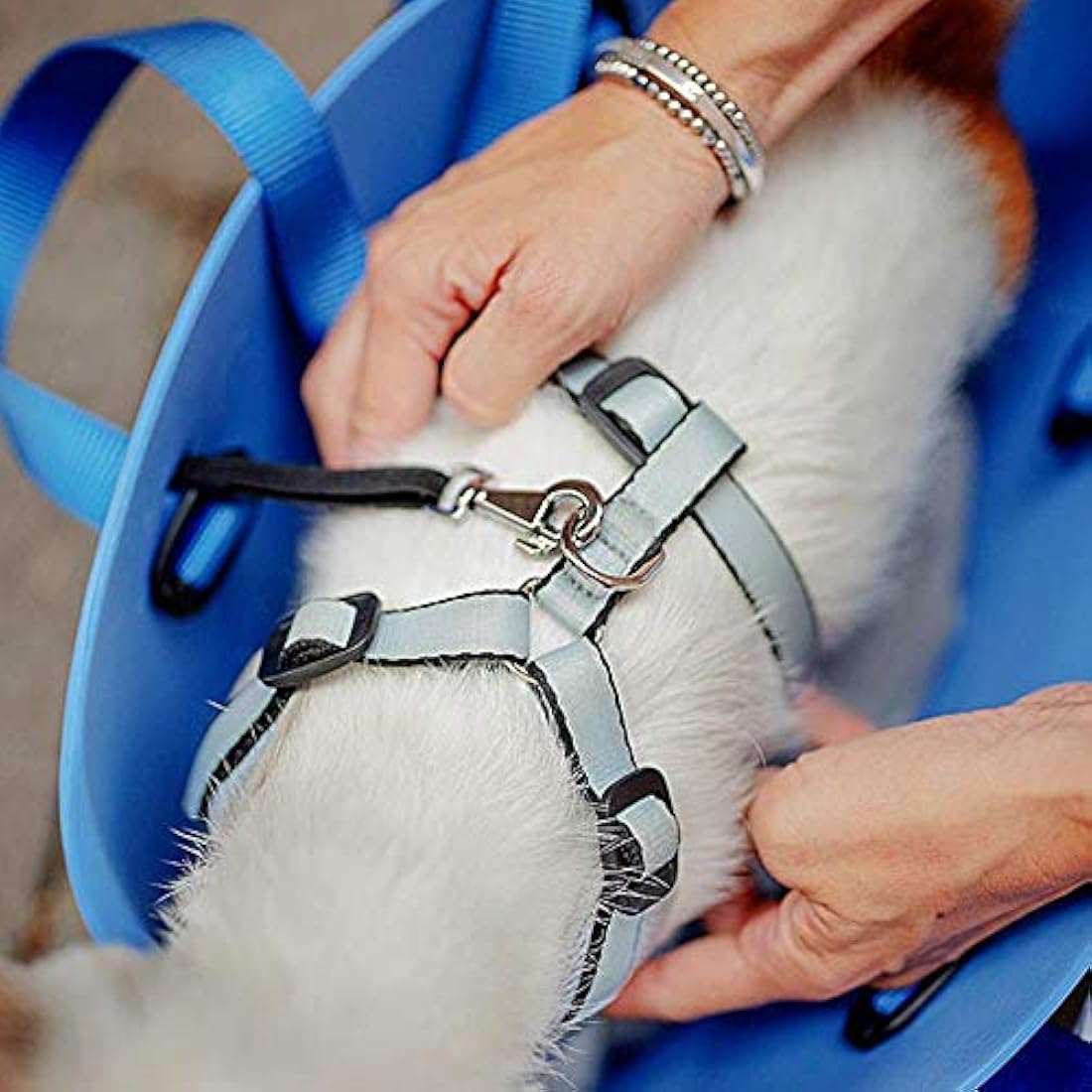Ferplast With-Me Small Dog Carrier Bag | Washable EVA Rubber - Dove Grey
