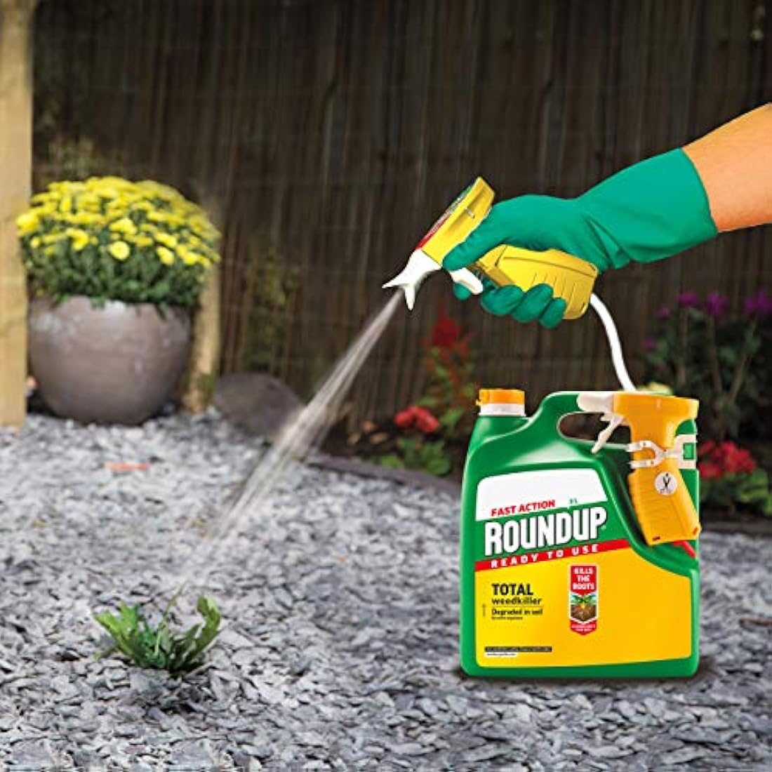 Roundup Fast Action Weedkiller | Ready to Use Root Killer - 3 Litre