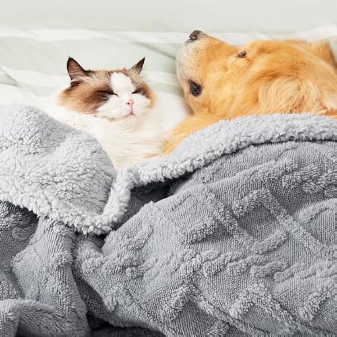 LE SURE Waterproof Dog Blanket – Extra Large Washable Plush Pet Throw